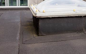 disadvantages of Manningford Abbots flat roofs