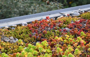 the cost of Manningford Abbots green roof installation