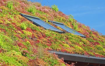 Manningford Abbots living roof systems