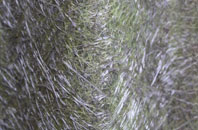 Manningford Abbots fibreglass roof work